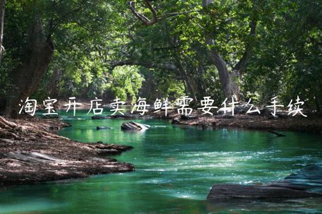 淘寶開店賣海鮮需要什么手續(xù)